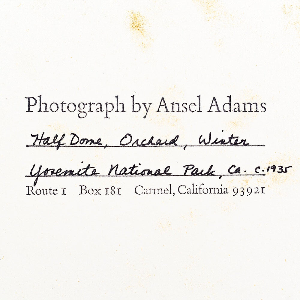 Half Dome, Apple Orchard, Winter Original Photograph Ansel Adams 