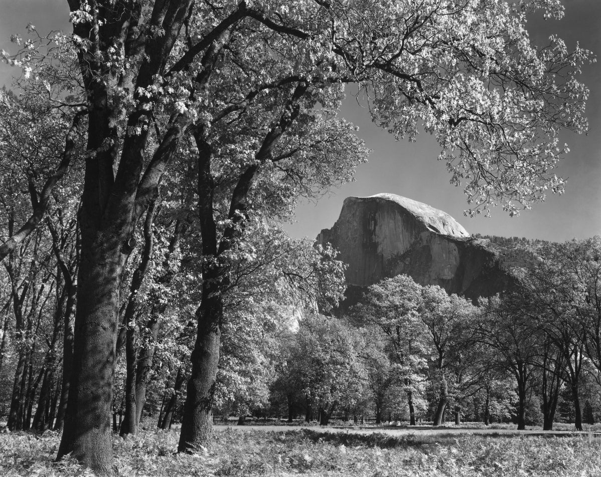 half-dome-autumn- 