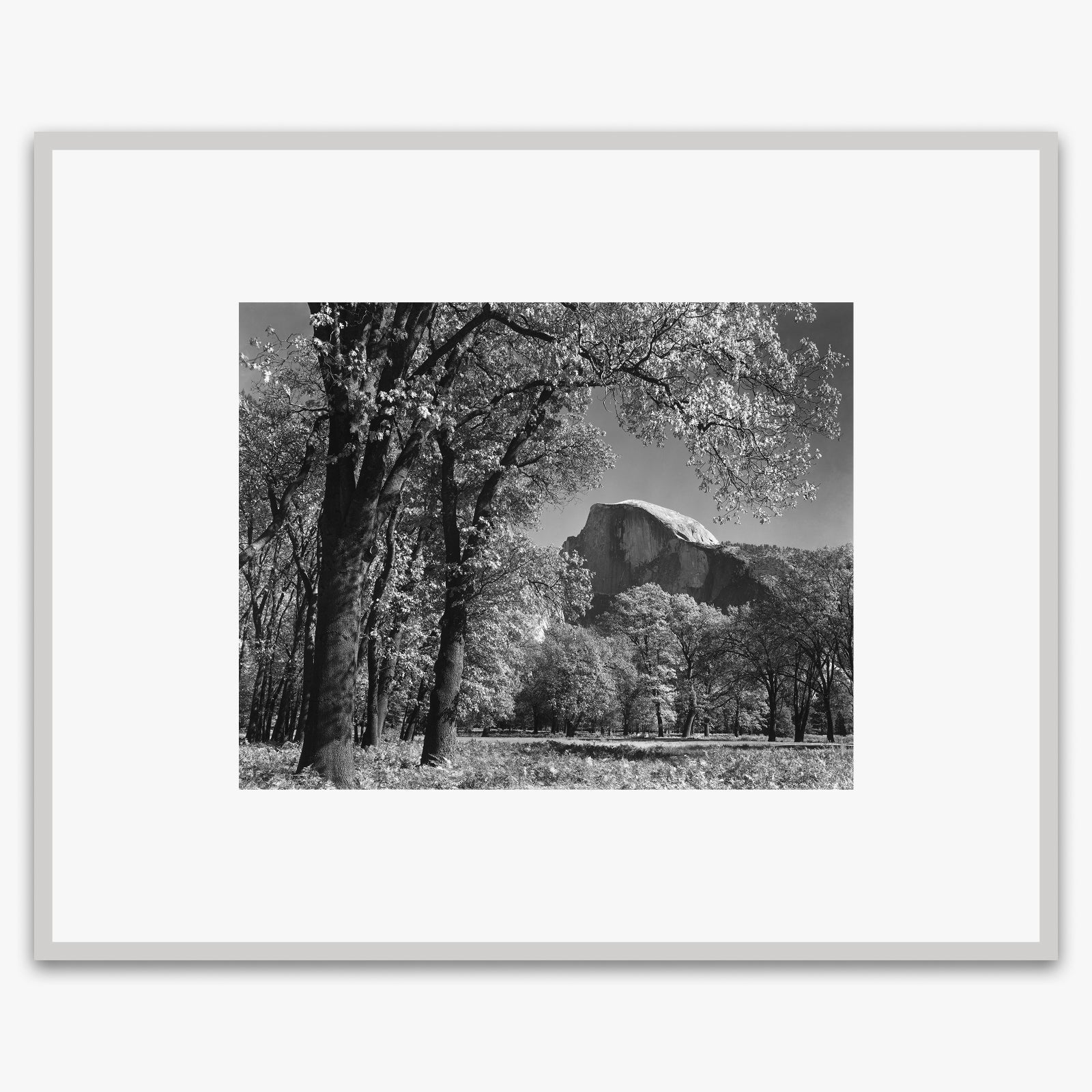 Half Dome, Autumn Shop_Medium_Print The Ansel Adams Gallery 