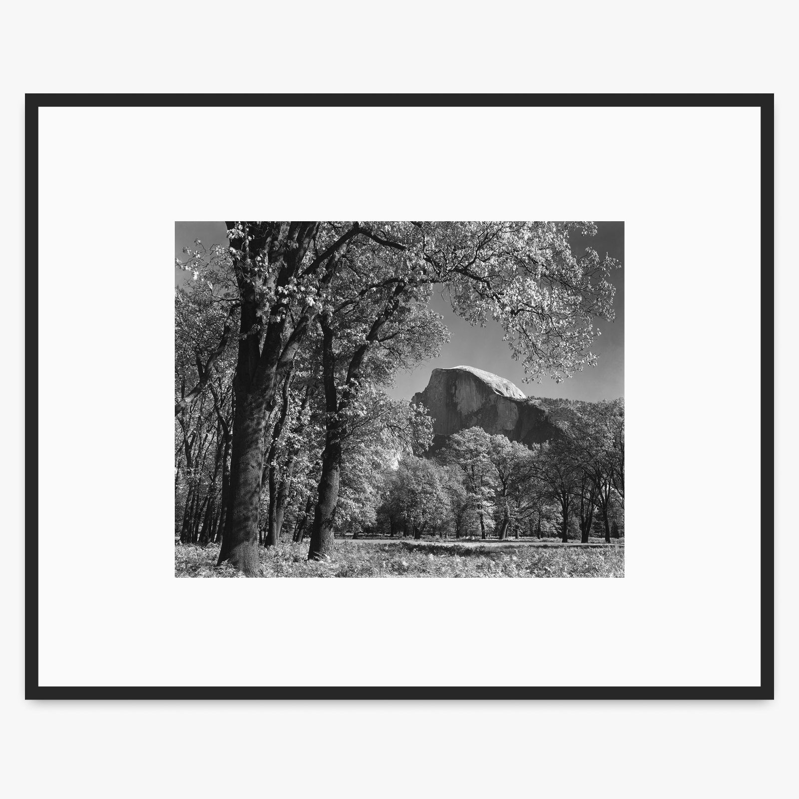 Half Dome, Autumn Shop_Medium_Print The Ansel Adams Gallery 