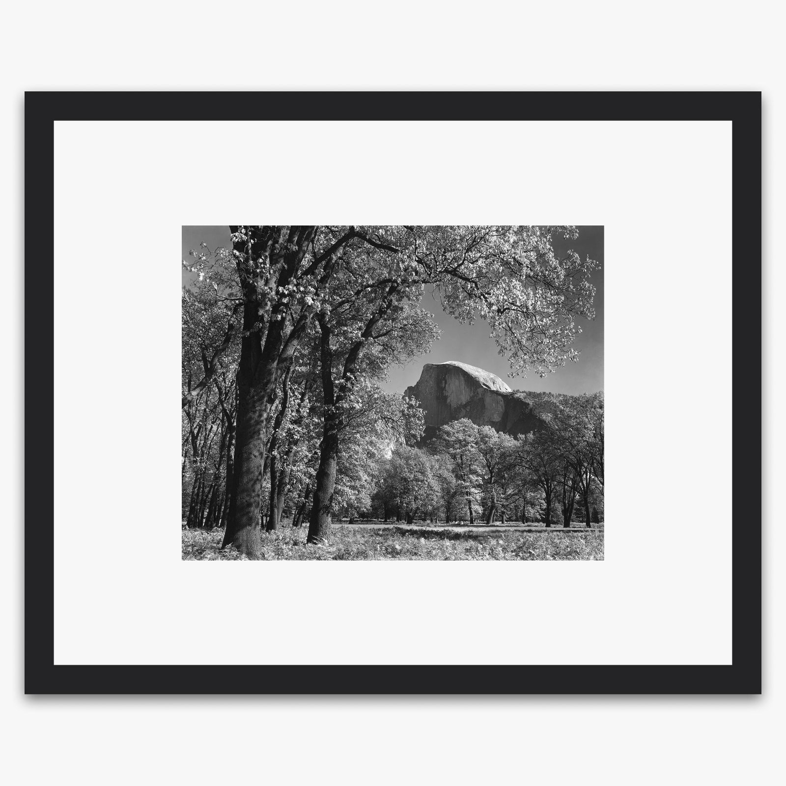 Half Dome, Autumn Shop_Medium_Print The Ansel Adams Gallery 