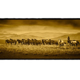 Horse Roundup, Mongolia Shop_Represented_Artist Dan Burkholder 