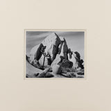 In Joshua Tree, National Monument Original Photograph Ansel Adams 