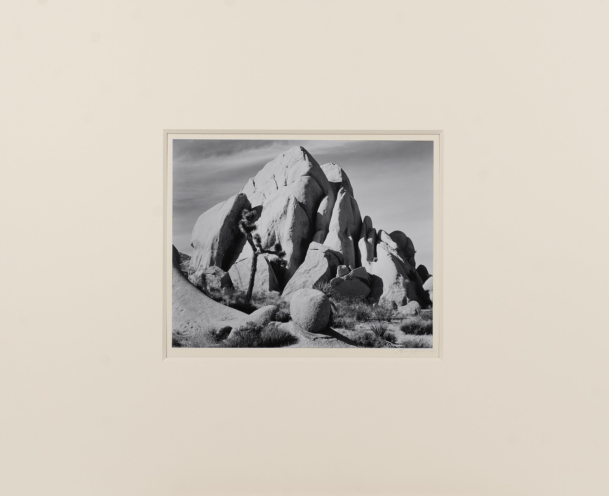 In Joshua Tree, National Monument Original Photograph Ansel Adams 