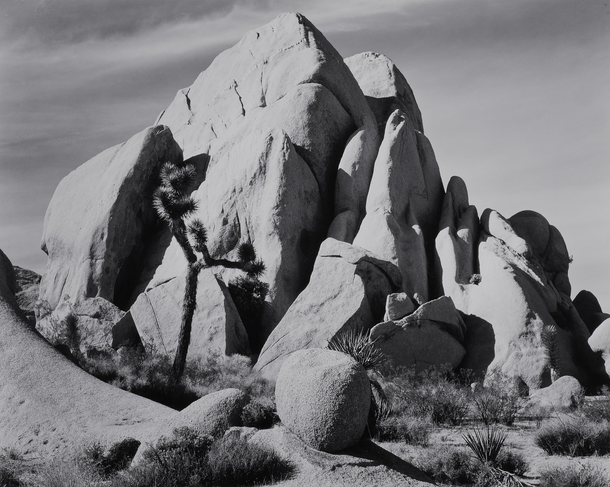 In Joshua Tree, National Monument Original Photograph Ansel Adams 