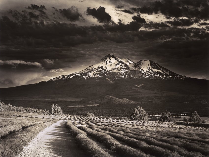Lavender Farm by Roman Loranc – The Ansel Adams Gallery