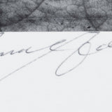 Leaf, Glacier Bay National Monument, Alaska Original Photograph Ansel Adams 