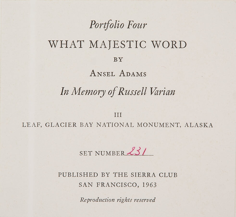 Leaf, Glacier Bay National Monument, Alaska Original Photograph Ansel Adams 