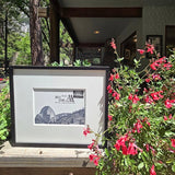 Limited Edition Framed Ansel Adams Single Stamp