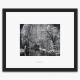 Merced River, Cliffs, Autumn Shop_Repro_SEP The Ansel Adams Gallery Framed Standard Black Wood 