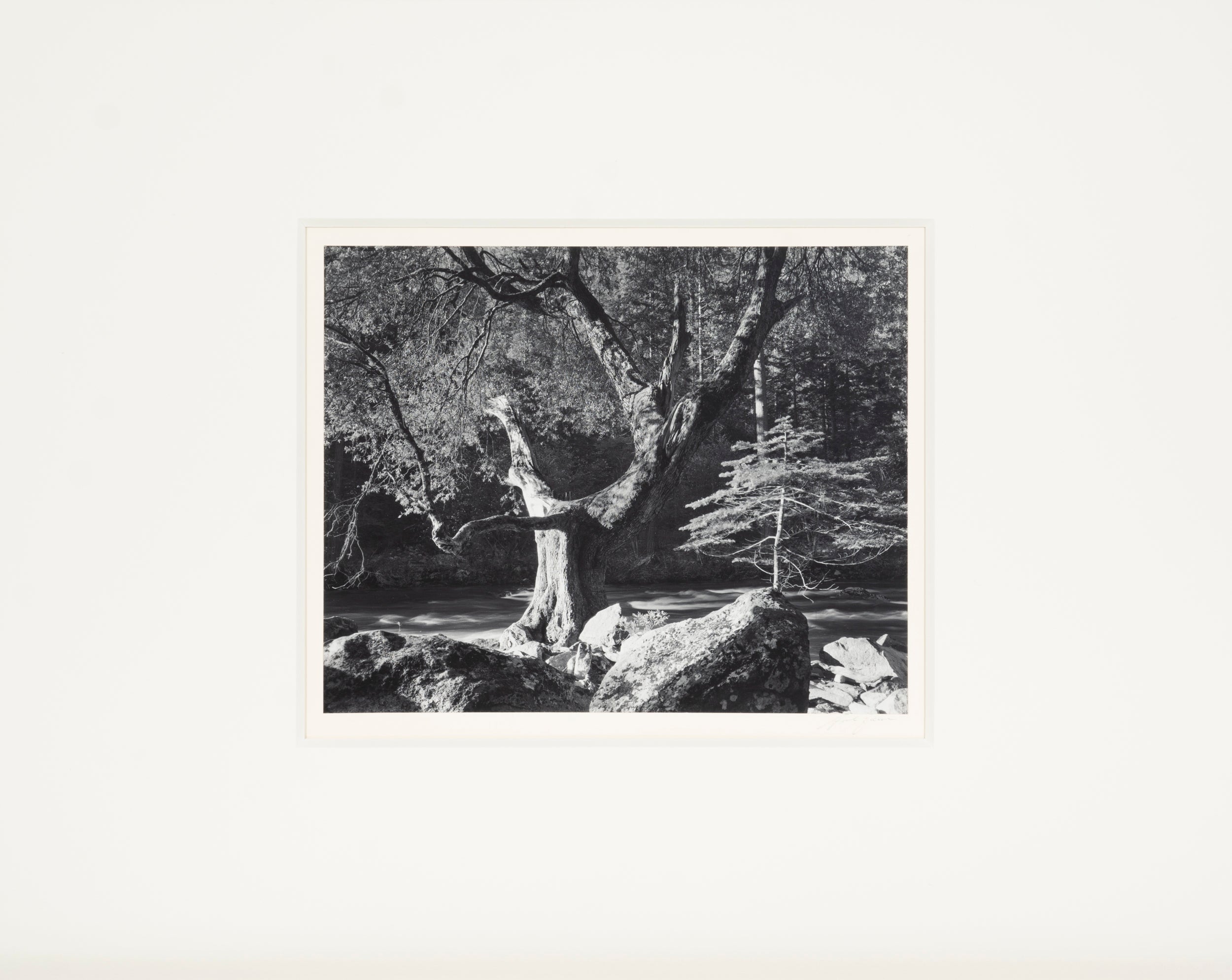 Morning, Merced River - Signed Special Edition Photograph Shop Ansel Adams 