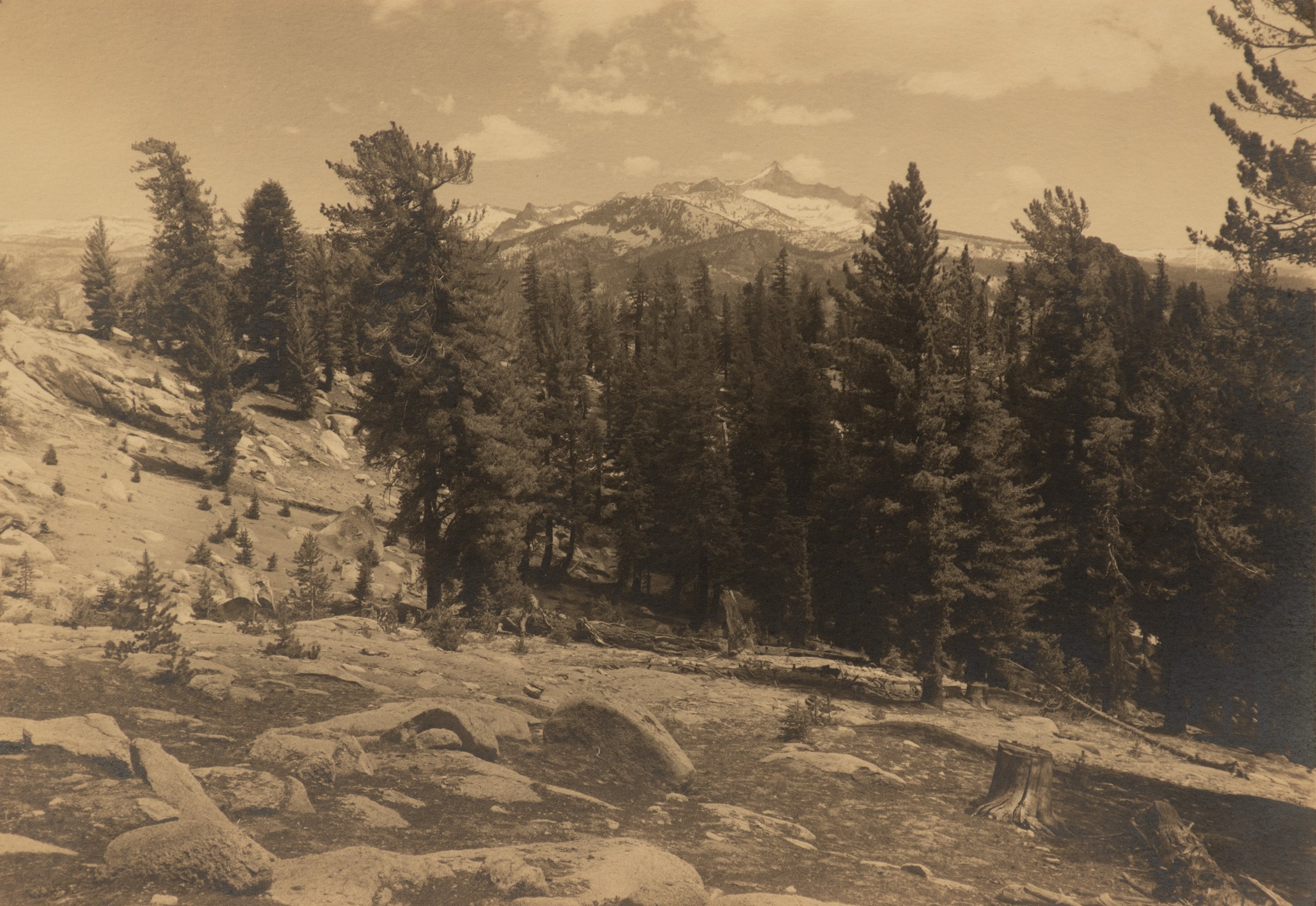 Mt. Clark from Sunrise Trail Original Photograph Ansel Adams 