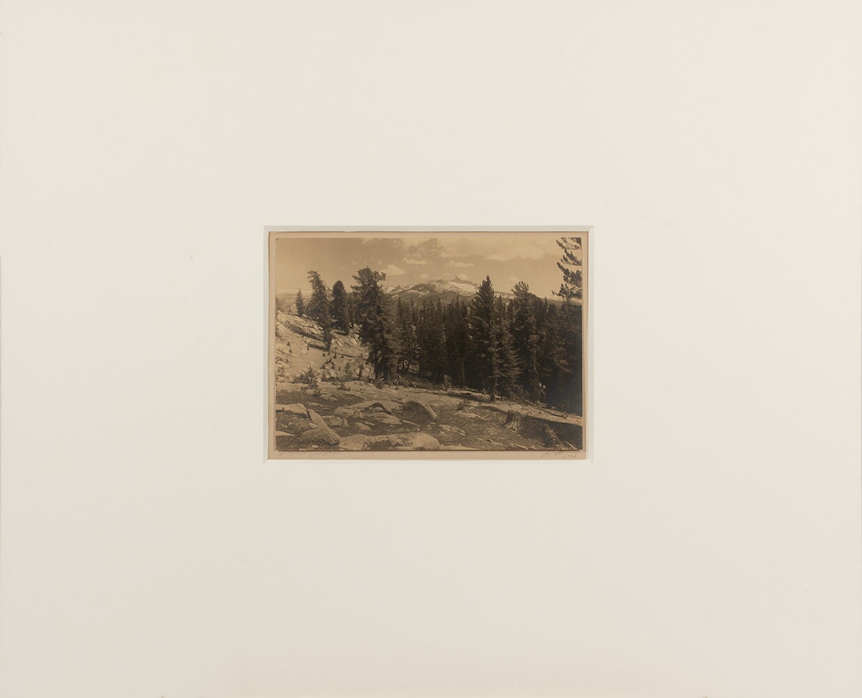 Mt. Clark from Sunrise Trail Original Photograph Ansel Adams 