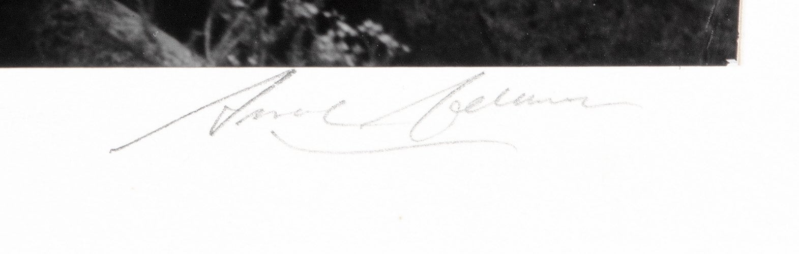 Mt. Williamson from Manzanar Original Photograph Ansel Adams 