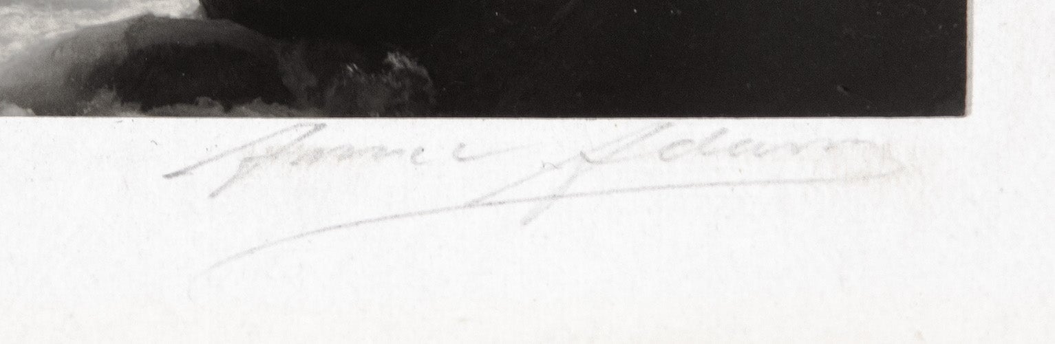 Nevada Fall Original Photograph Ansel Adams 