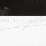 Nevada Fall Original Photograph Ansel Adams 