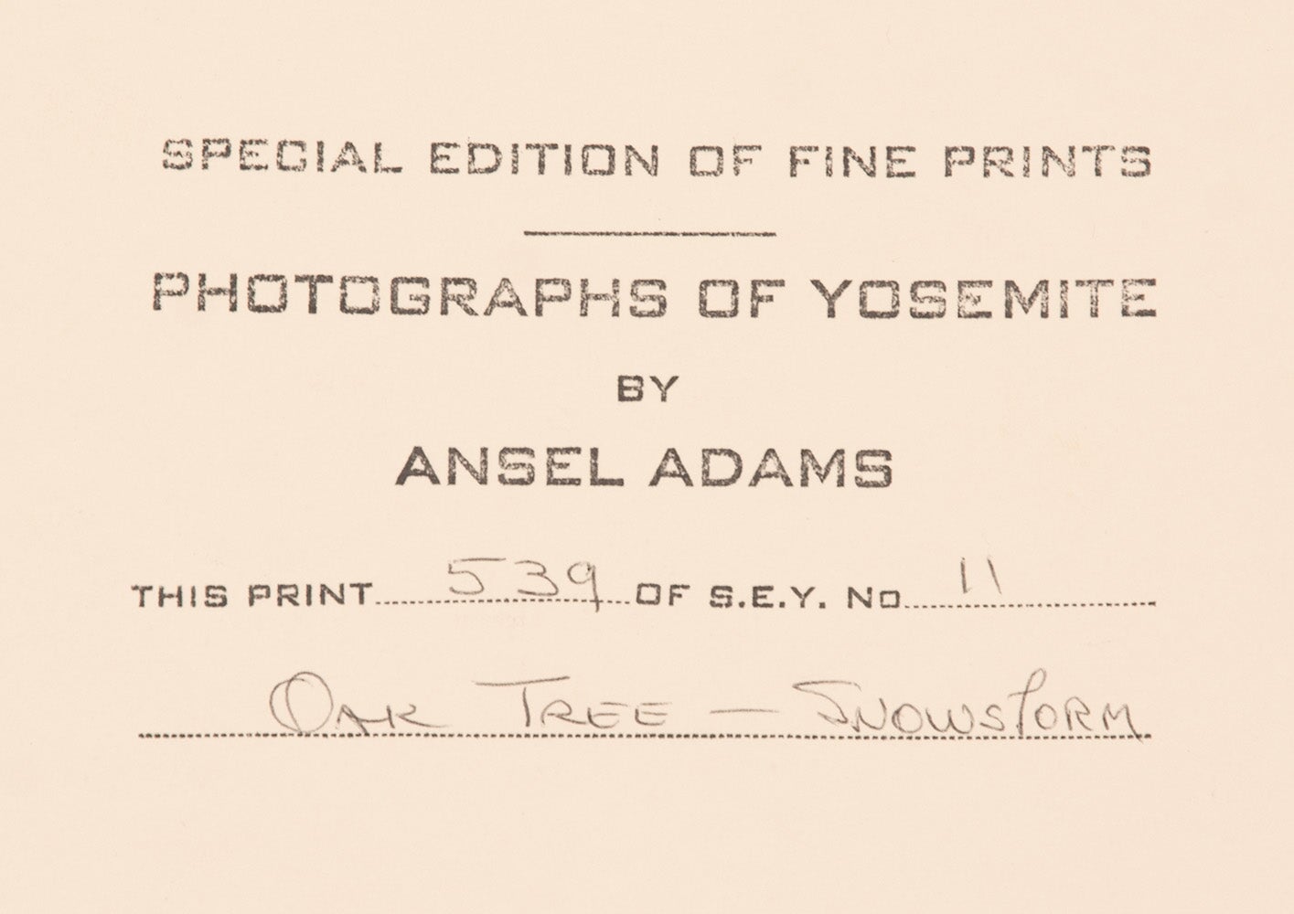 Oak Tree, Snowstorm - Signed Special Edition Signed_SEP Ansel Adams 