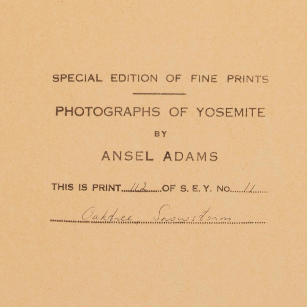 Oak Tree, Snowstorm- Signed Special Edition Photograph – The Ansel
