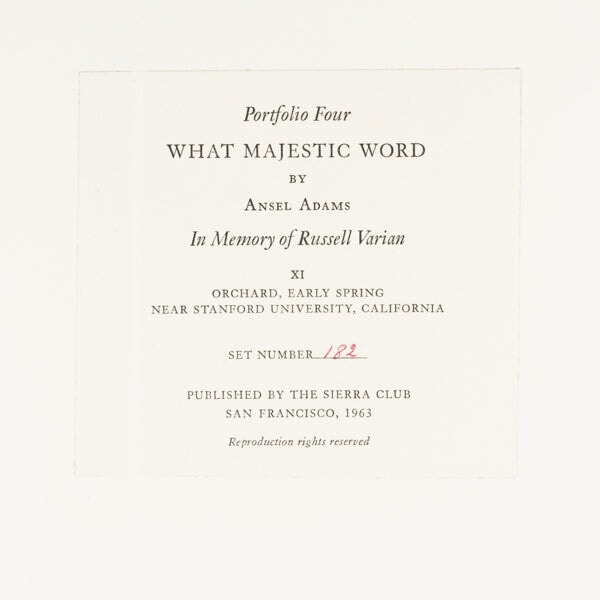 Orchard, Early Spring near Stanford University, California Original Photograph Ansel Adams 