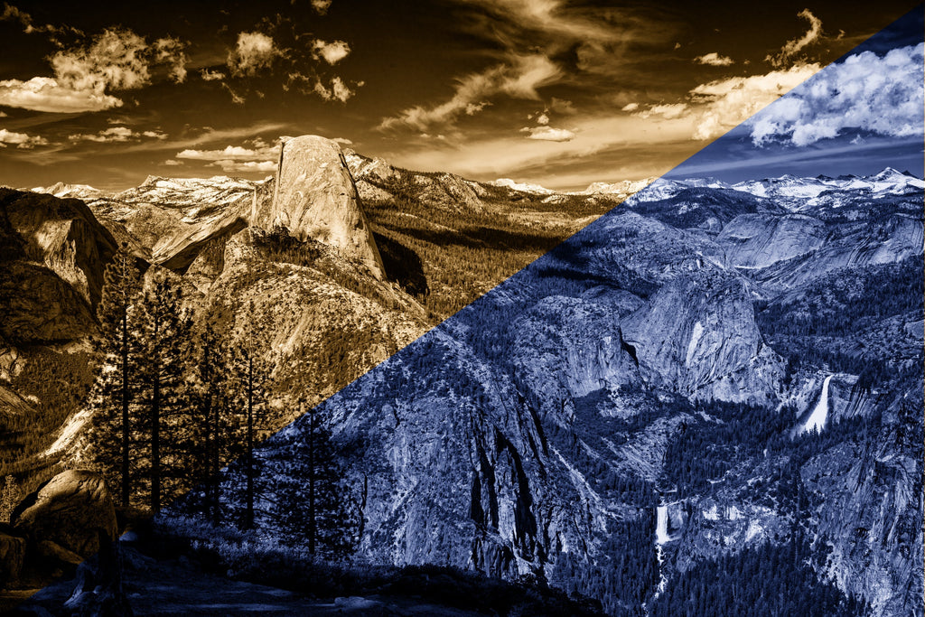 Palladium Printing, Gum Bichromate and Cyanotype over Palladium