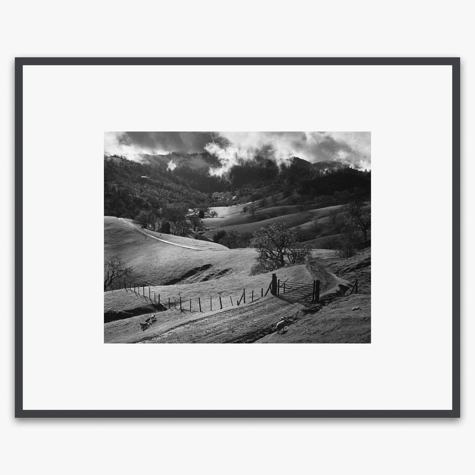 Pasture, Sonoma County Shop_Medium_Print The Ansel Adams Gallery Contrast Gray Metal 