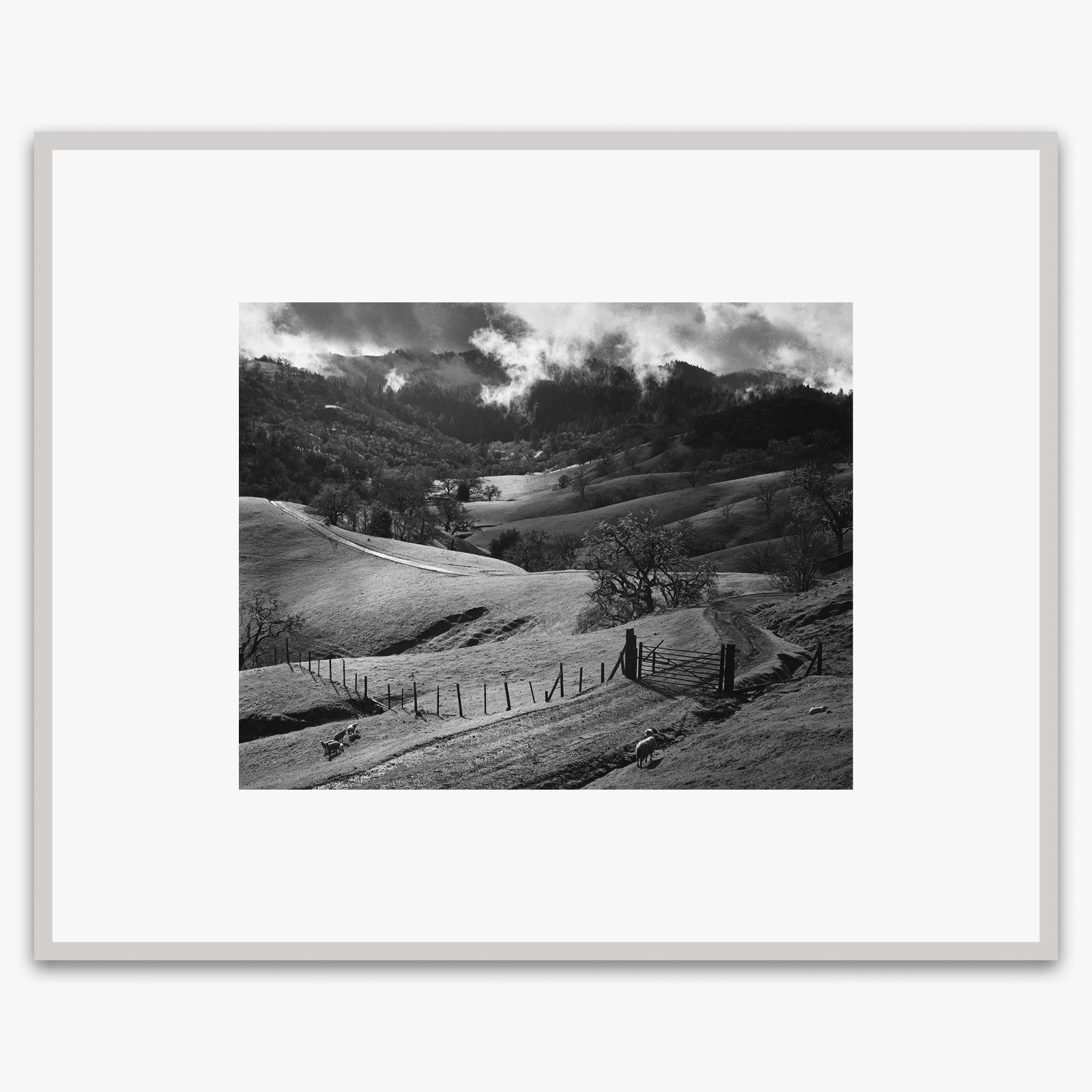 Pasture, Sonoma County Shop_Medium_Print The Ansel Adams Gallery German Silver Metal 