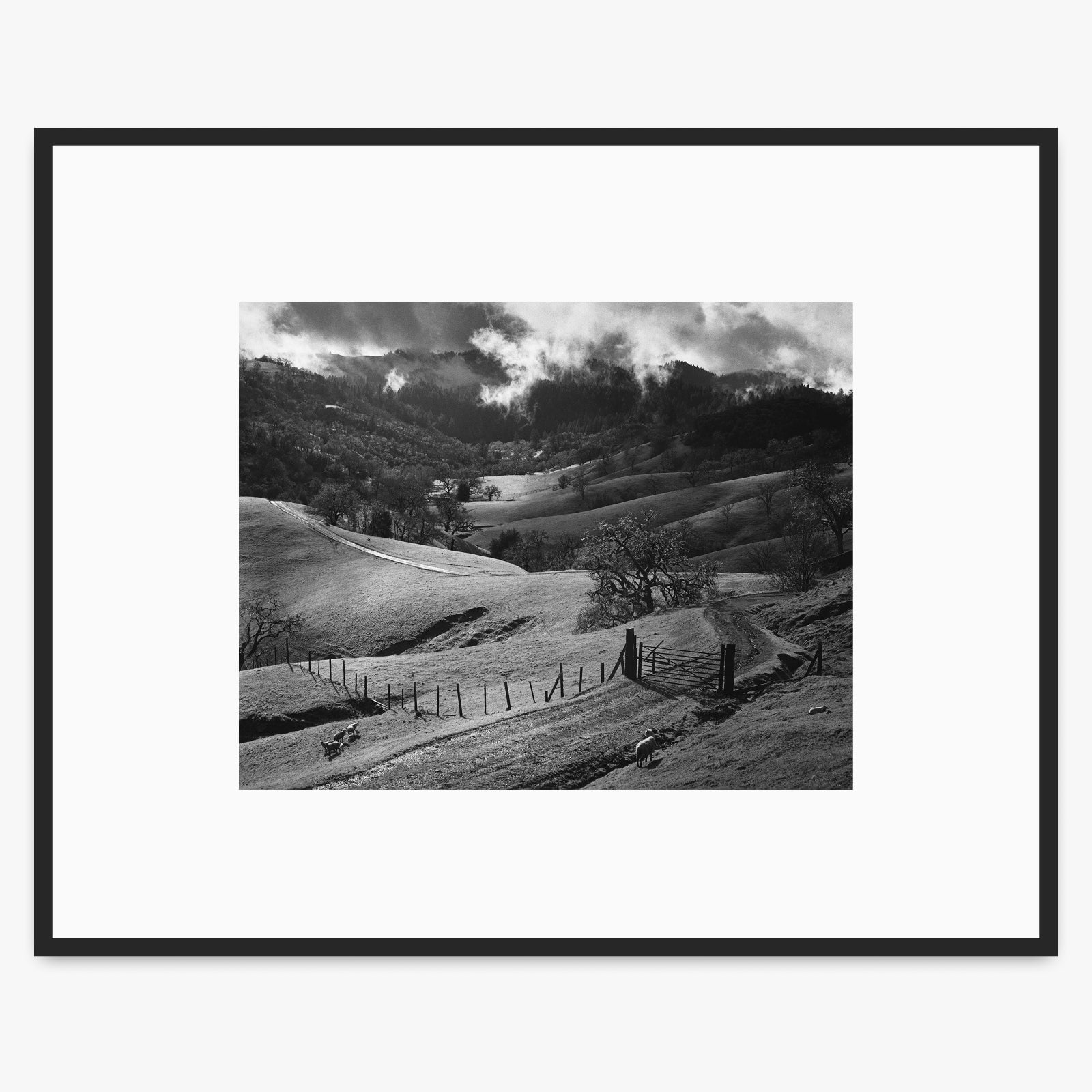 Pasture, Sonoma County Shop_Medium_Print The Ansel Adams Gallery Matte Black Metal 