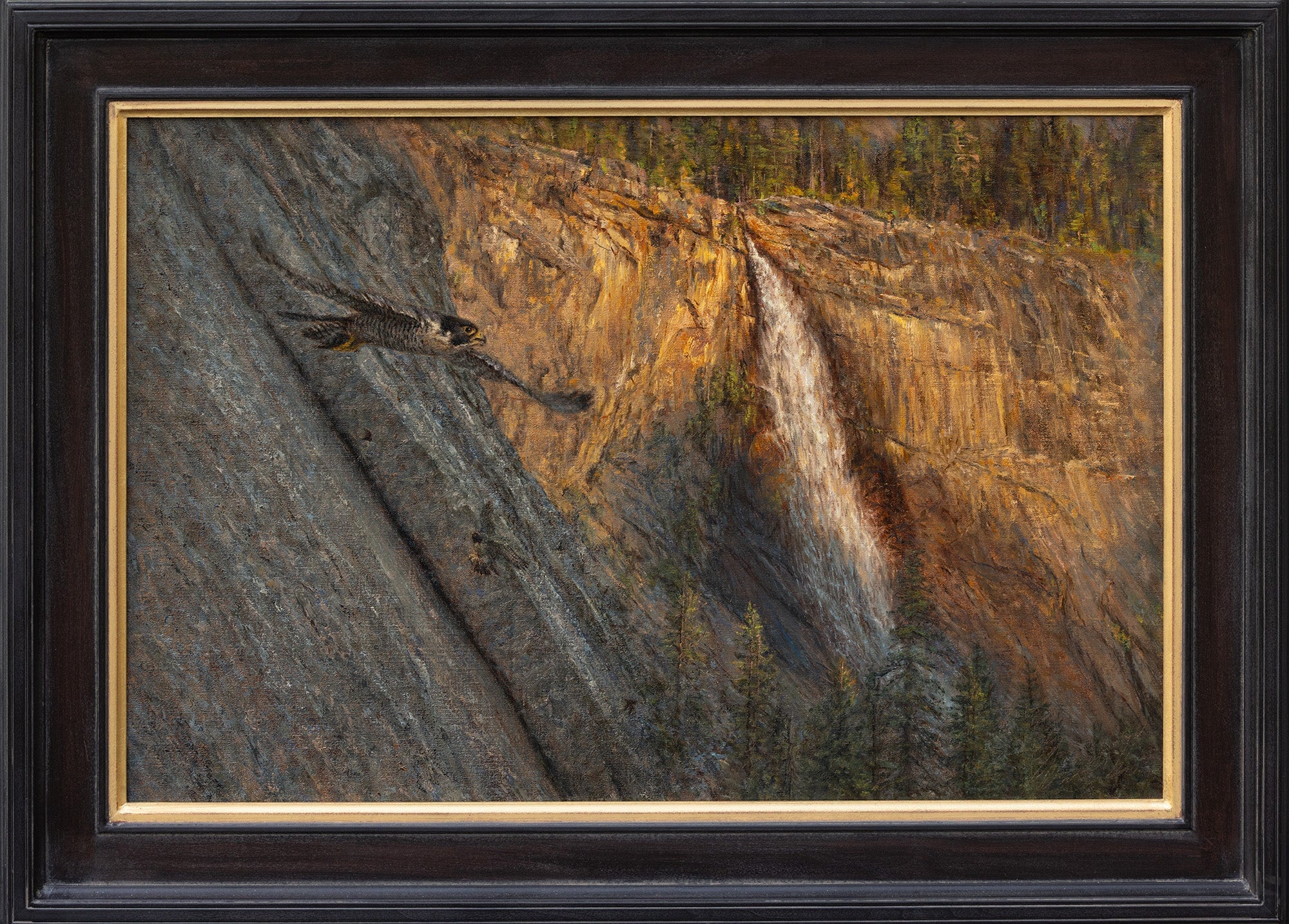 Peregrine Pair Hunting Bats Near Nevada Fall Shop_Represented_Artist James McGrew 