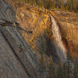 Peregrine Pair Hunting Bats Near Nevada Fall Shop_Represented_Artist James McGrew 