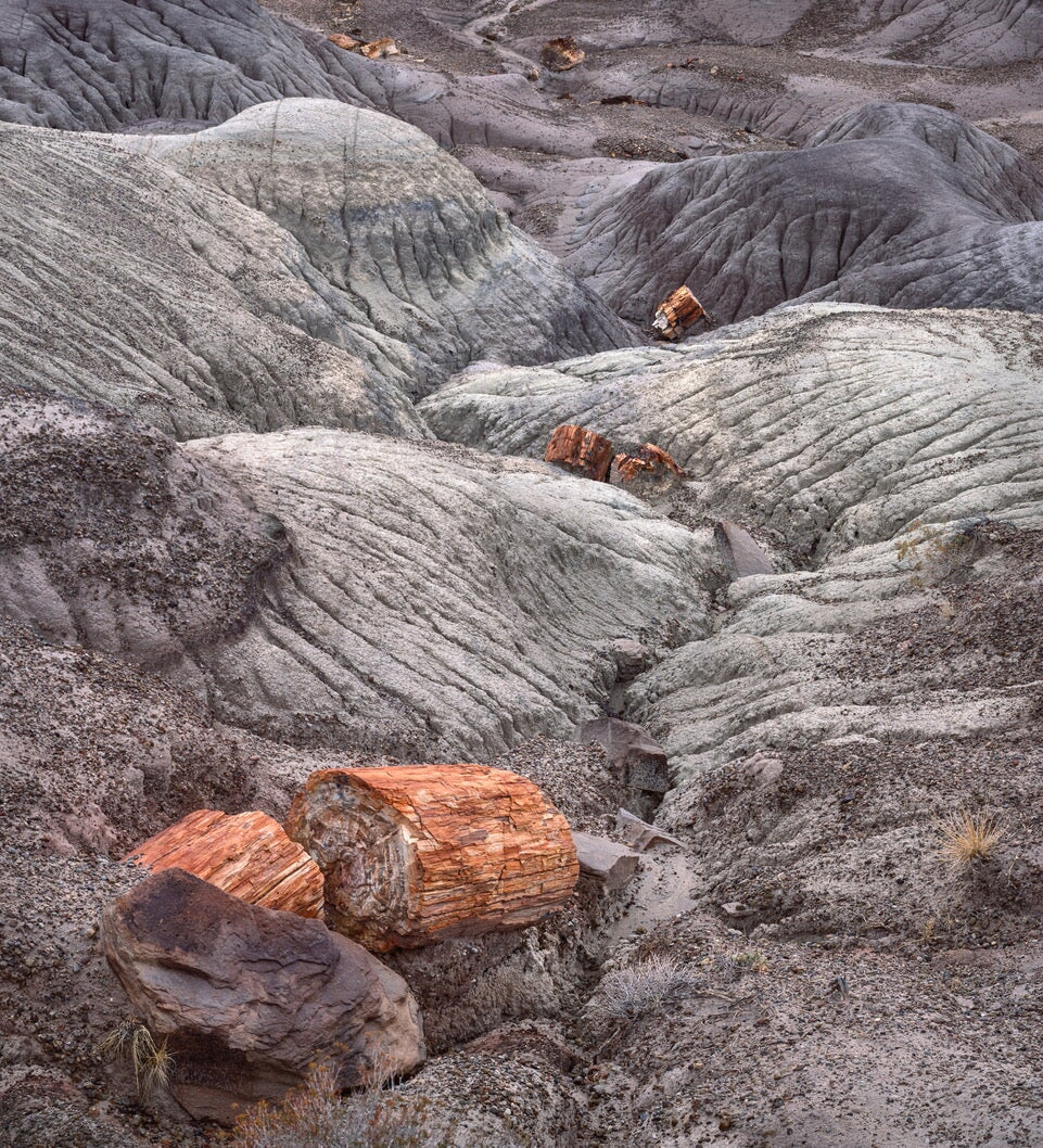 Petrified Logs and Mud Hills, Arizona Shop_Represented_Artist Charles Cramer 