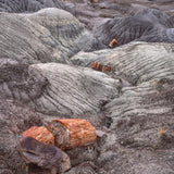 Petrified Logs and Mud Hills, Arizona Shop_Represented_Artist Charles Cramer 