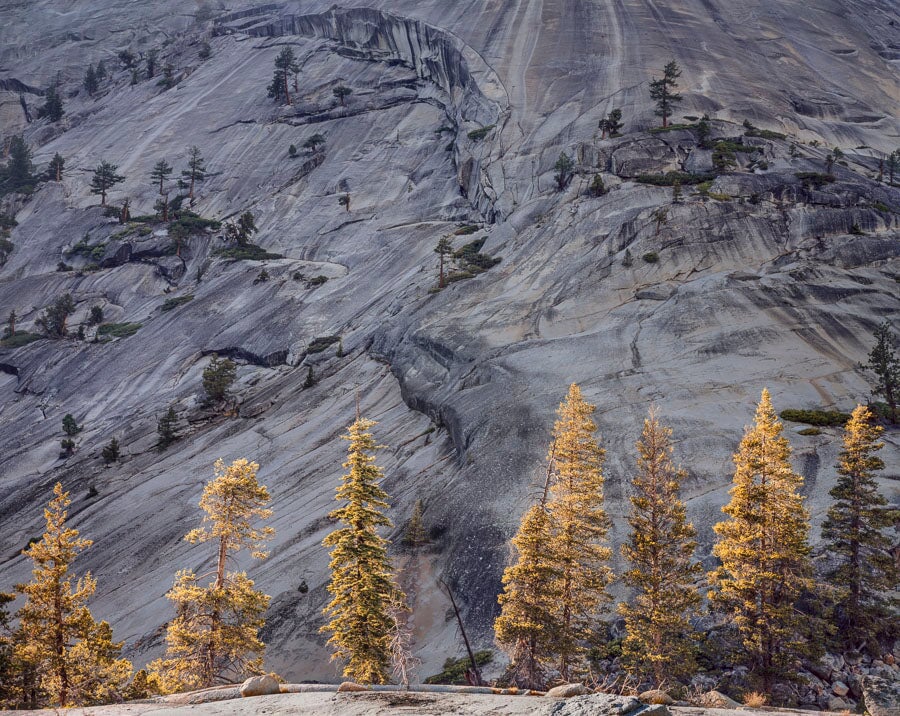 Pines and Granite, Merced River Canyon