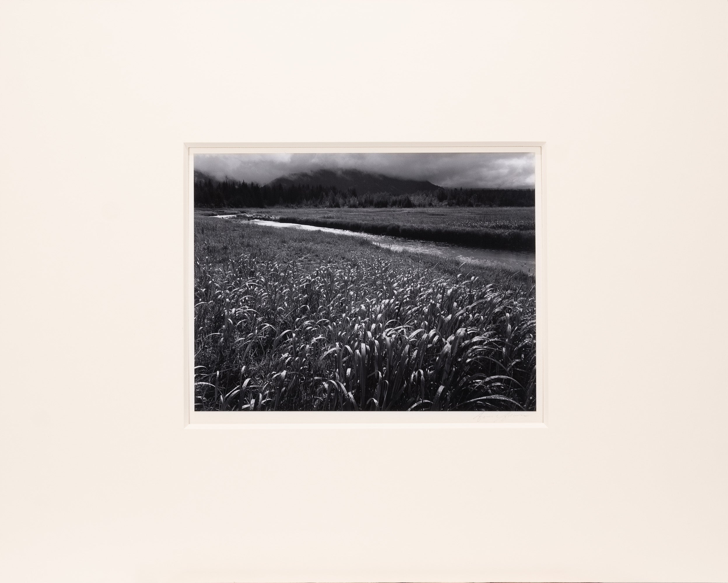 Rain, Beartrack Cove, Glacier Bay National Park Original Photograph Ansel Adams 