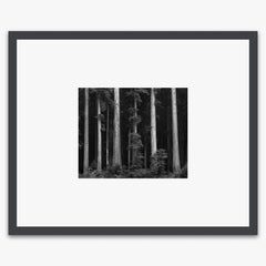 Redwoods Shop_Small_Print Ansel Adams Contrast Gray Metal 