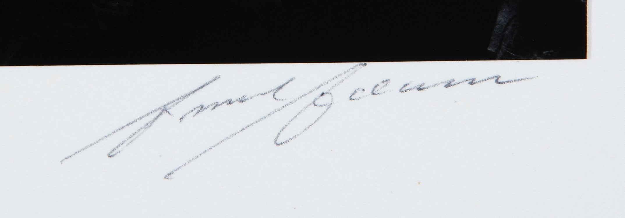 Sequoia Roots, Mariposa Grove Original Photograph Ansel Adams 