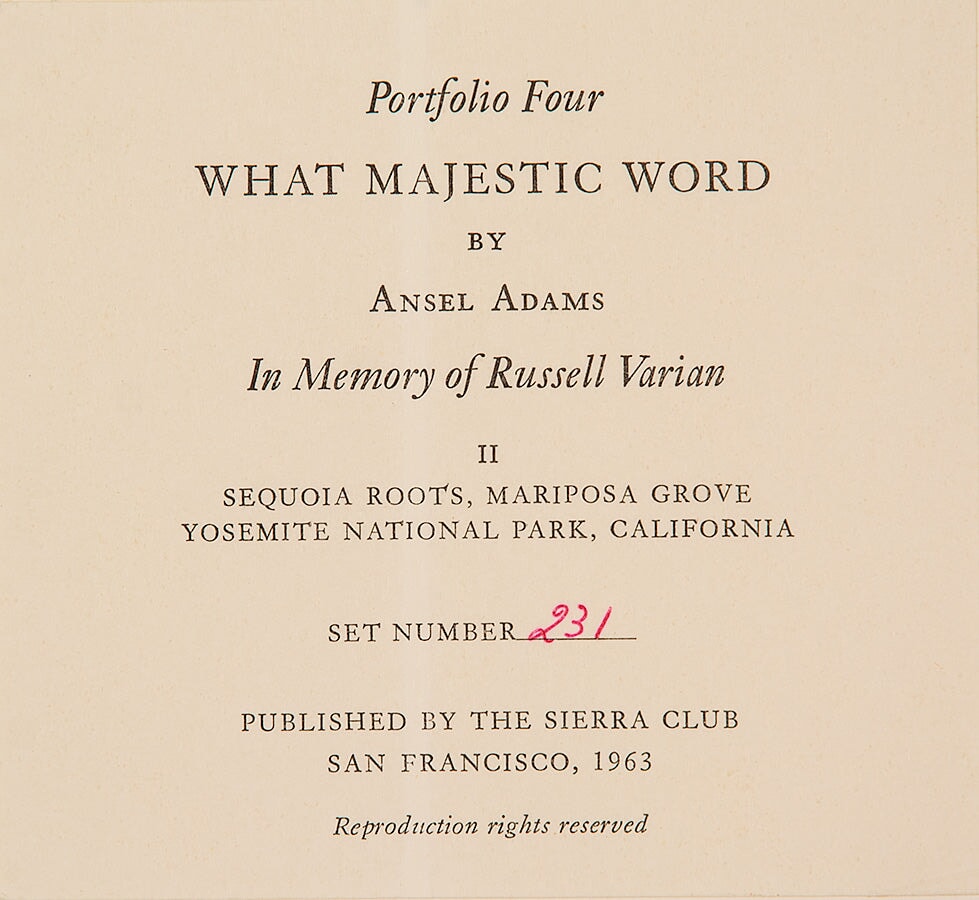 Sequoia Roots, Mariposa Grove Original Photograph Ansel Adams 