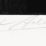 Shutters and Doors, Movie Lot Original Photograph Ansel Adams 