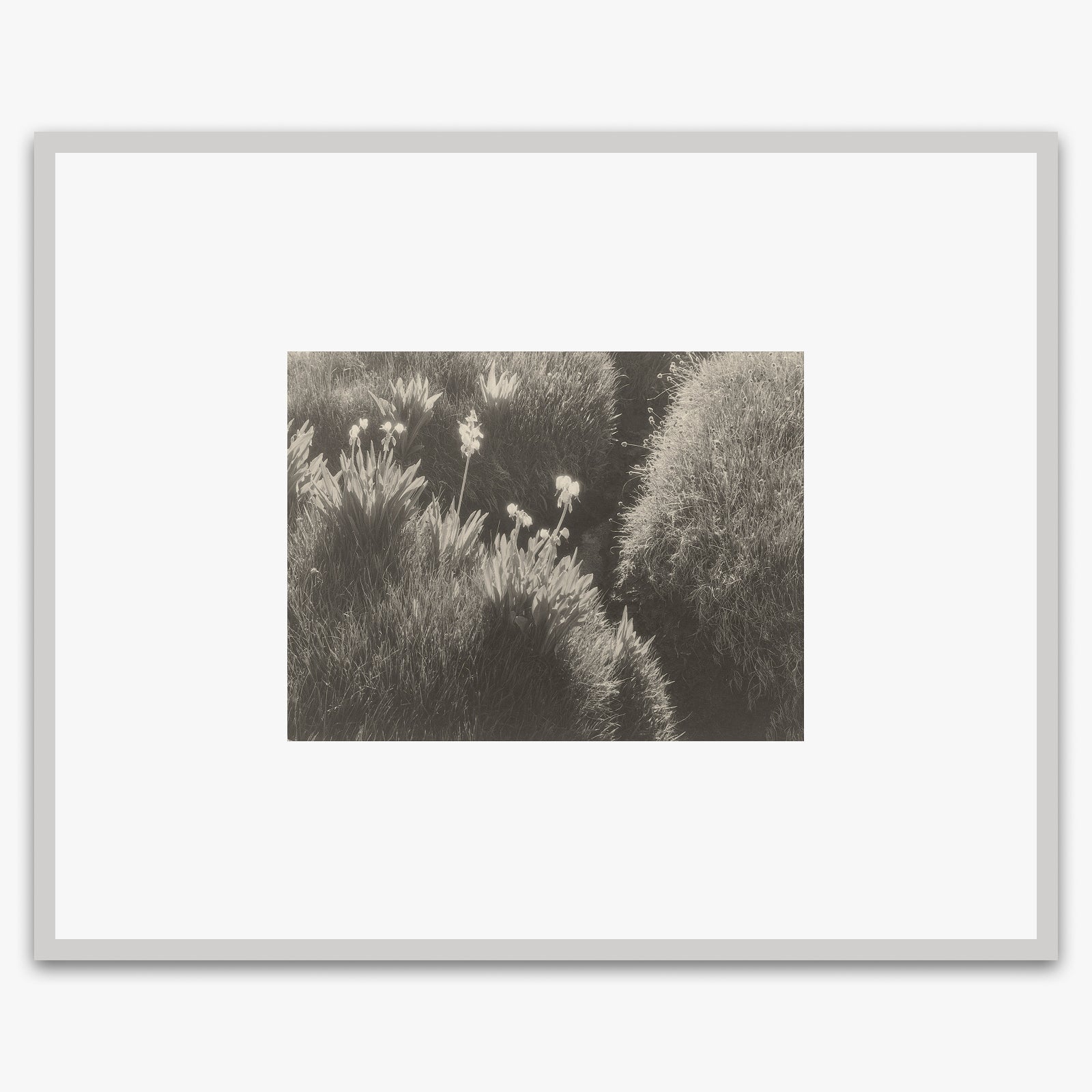 Sierra Meadow Shop_Repro_MR Ansel Adams Gallery Framed Standard 8x10" German Silver Metal