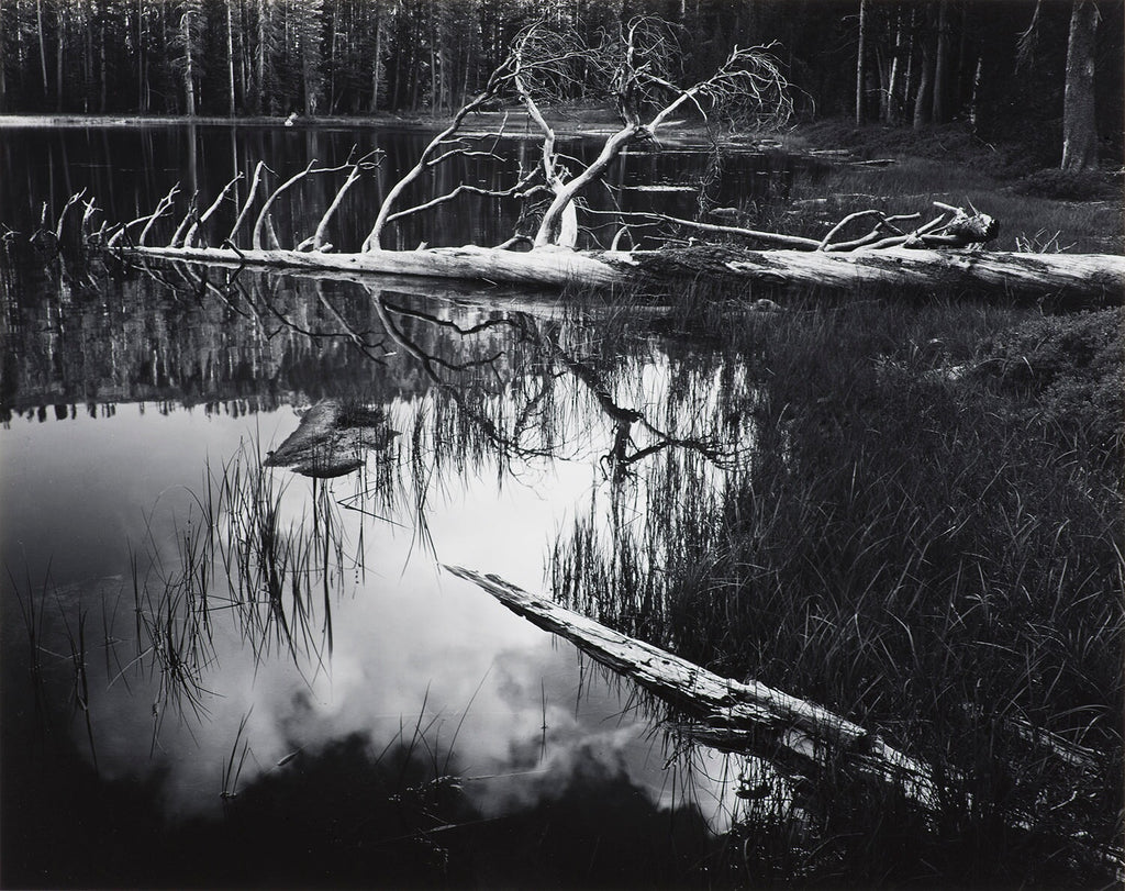 Siesta Lake