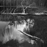 Siesta Lake Shop_Medium_Print The Ansel Adams Gallery 