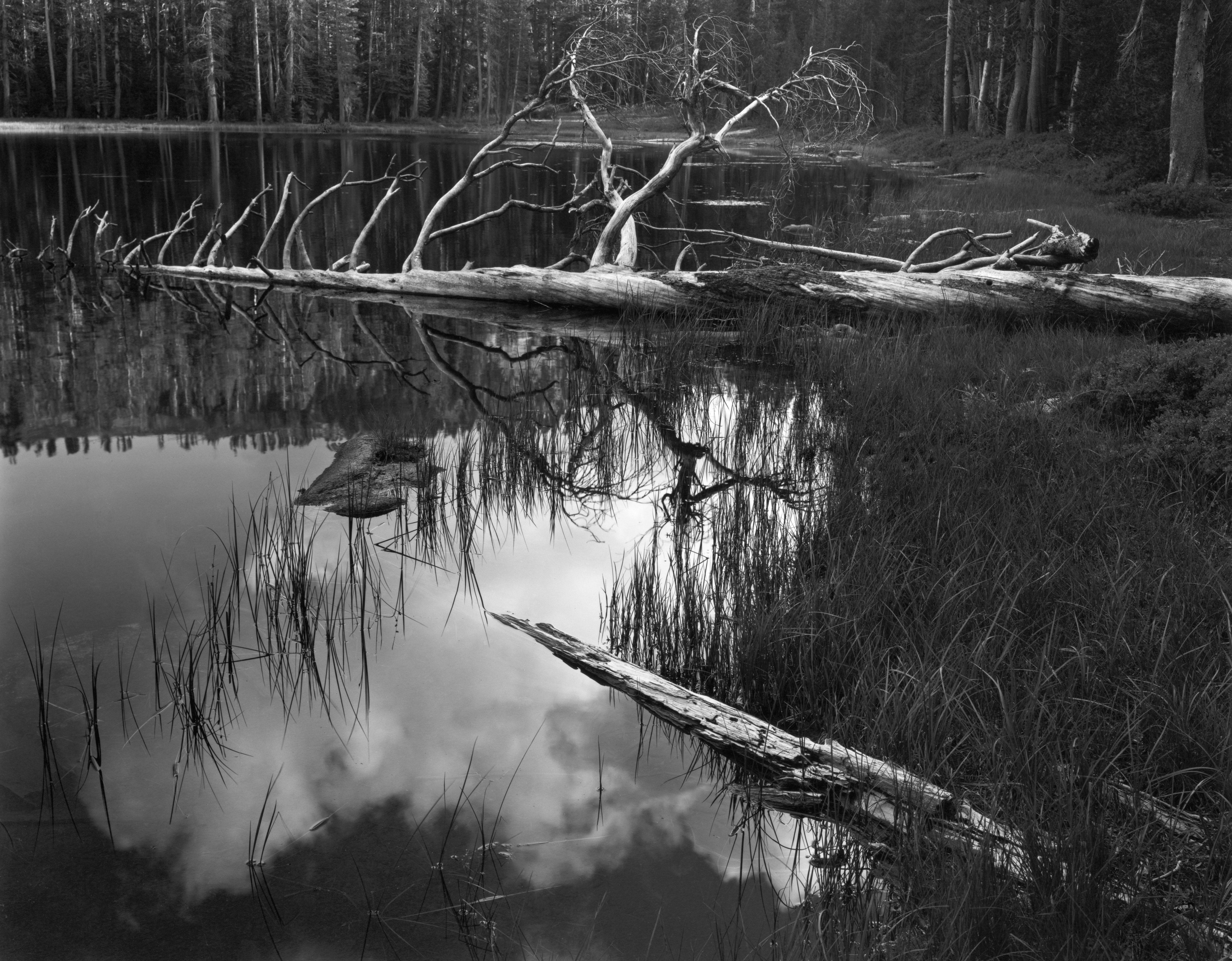 Siesta Lake Shop_Medium_Print The Ansel Adams Gallery 