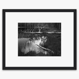 Siesta Lake Shop_Medium_Print The Ansel Adams Gallery Black Wood 