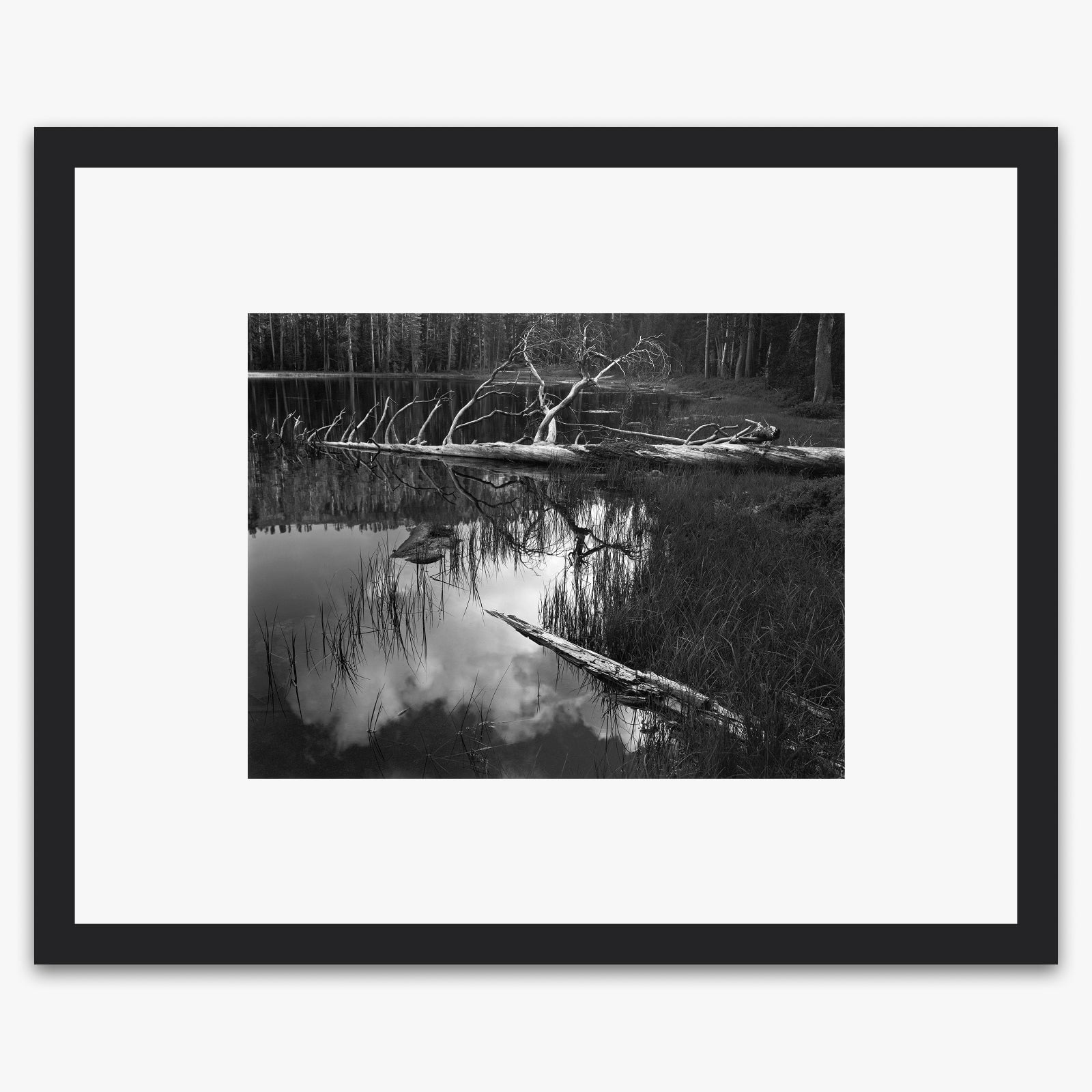 Siesta Lake Shop_Medium_Print The Ansel Adams Gallery Black Wood 