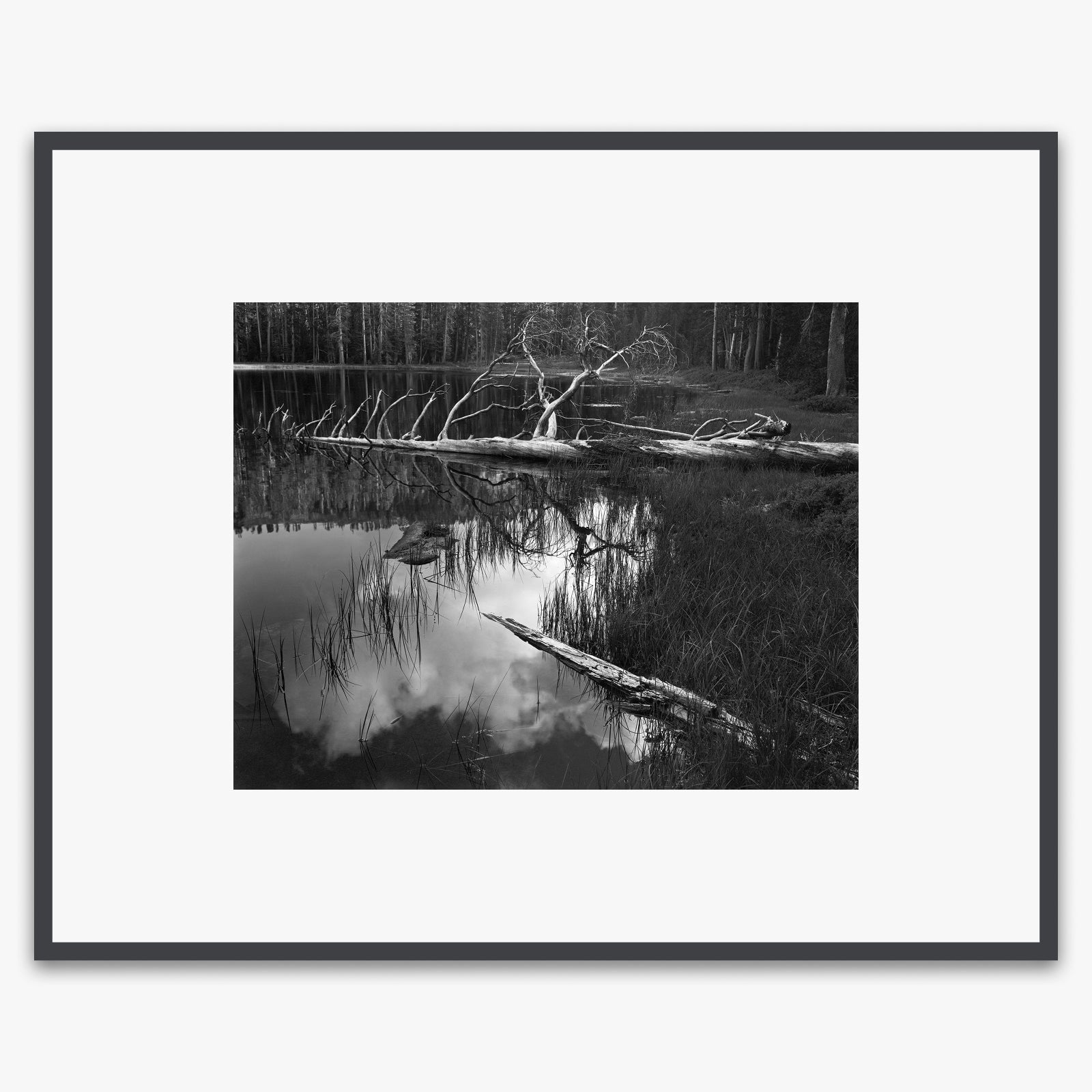 Siesta Lake Shop_Medium_Print The Ansel Adams Gallery Contrast Gray Metal 