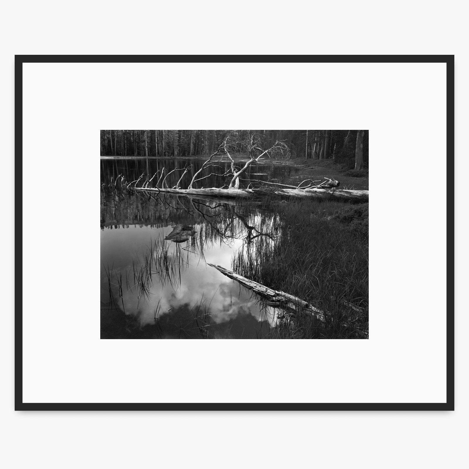Siesta Lake Shop_Medium_Print The Ansel Adams Gallery Matte Black Metal 