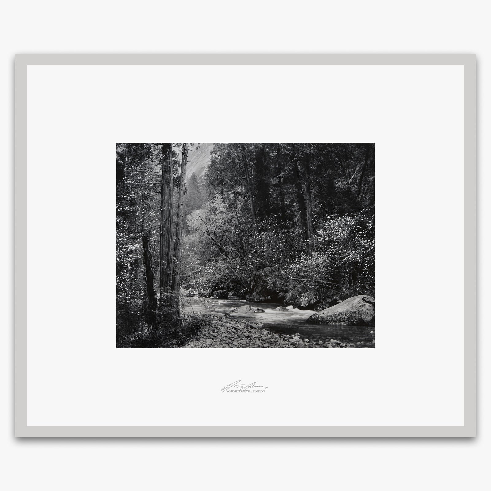 Tenaya Creek, Dogwood, Rain Shop_Repro_SEP The Ansel Adams Gallery Framed Standard German Silver Metal 