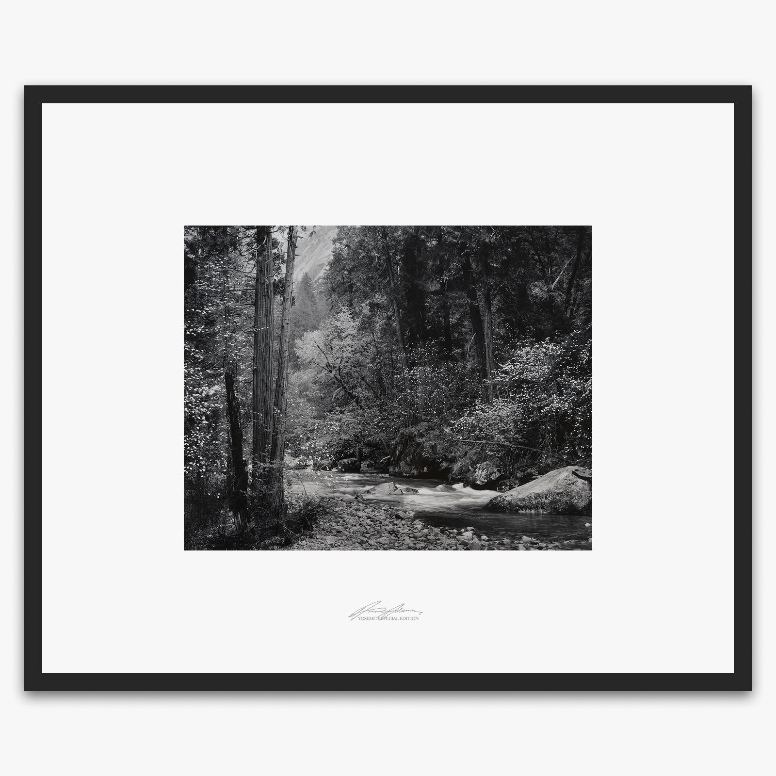 Tenaya Creek, Dogwood, Rain Shop_Repro_SEP The Ansel Adams Gallery Framed Standard Matte Black Metal 