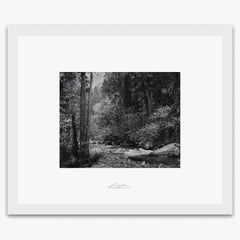 Tenaya Creek, Dogwood, Rain Shop_Repro_SEP The Ansel Adams Gallery Framed Standard White Wood 