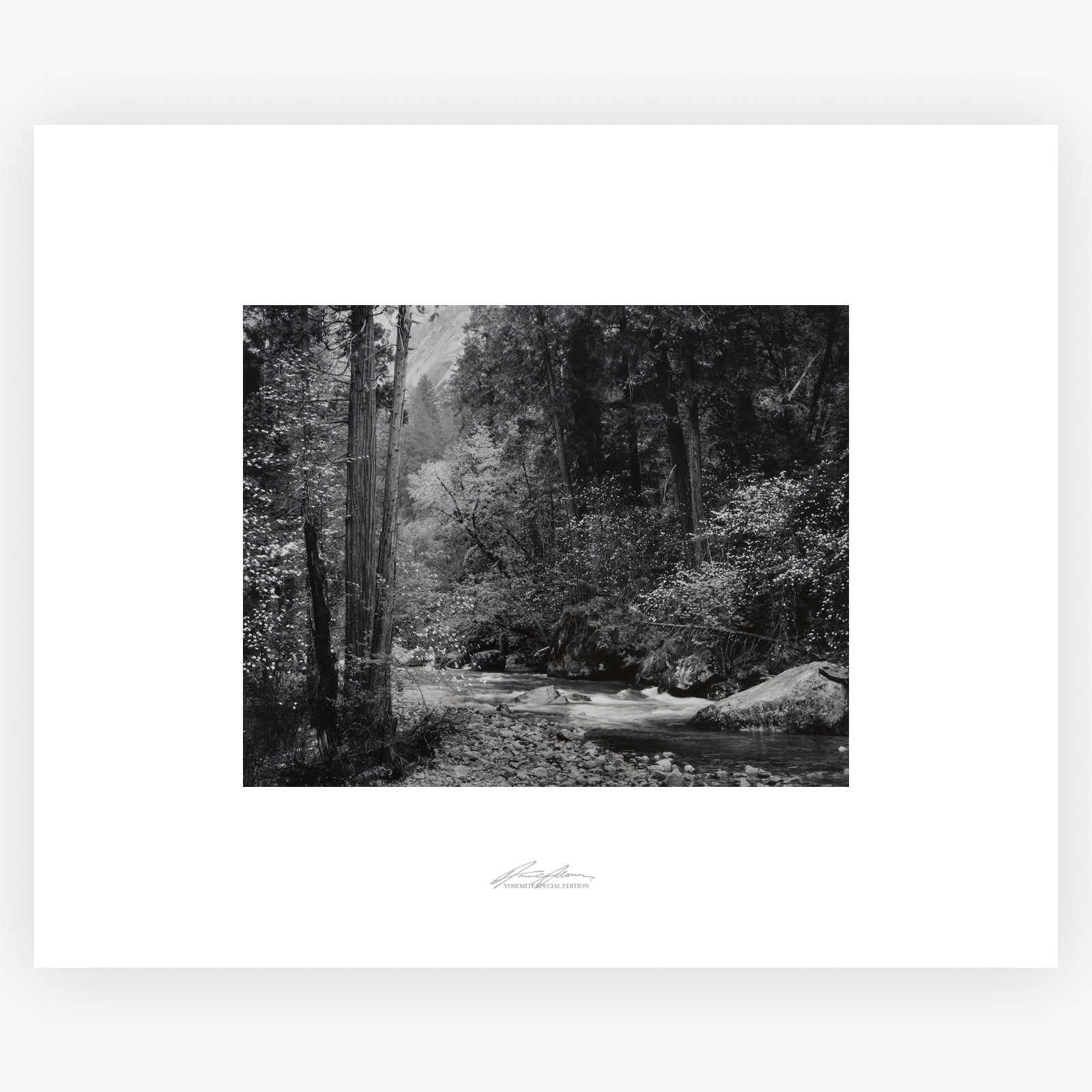 Tenaya Creek, Dogwood, Rain Shop_Repro_SEP The Ansel Adams Gallery Unframed No Color 