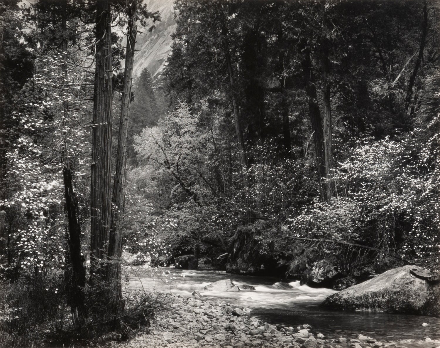 Tenaya Creek, Spring Rain Original Photograph Ansel Adams 